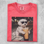 Maltese dog wearing sunglasses sips a coffee drink.