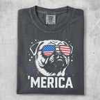 Dog wearing sunglasses with American flag design, surrounded by stars and fireworks.