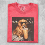 Golden retriever wearing sunglasses drinks iced coffee from a plastic cup.