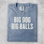 Blue t-shirt with "BIG DOG BIG BALLS" printed in white.
