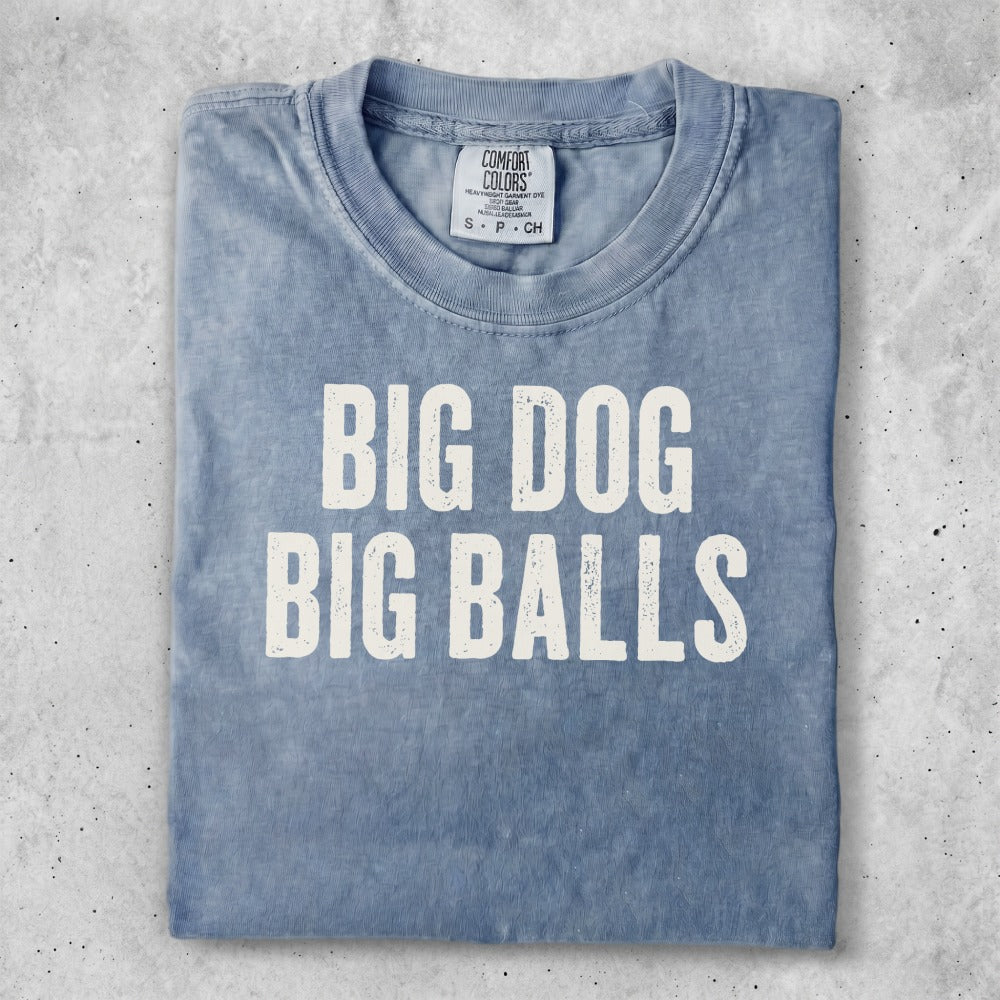 Blue t-shirt with "BIG DOG BIG BALLS" printed in white.