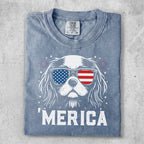 Dog wearing sunglasses with American flag print and "MERICA" text.