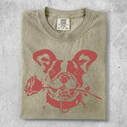 French bulldog wearing a collar, holding a rose in its mouth.
