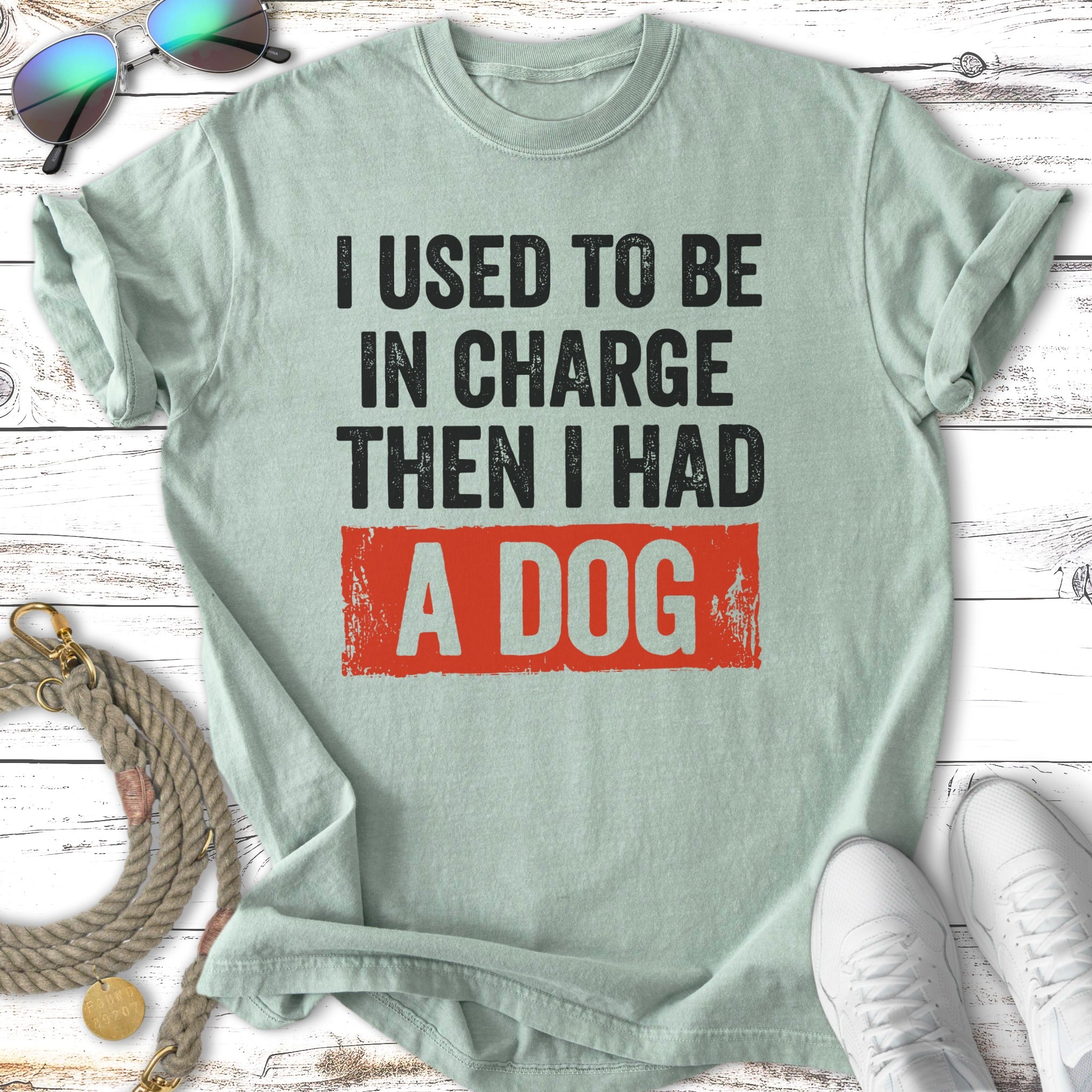 Light green t-shirt with black text "I USED TO BE IN CHARGE THEN I HAD A DOG".