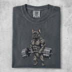 French bulldog with barbell, grey wash t-shirt.