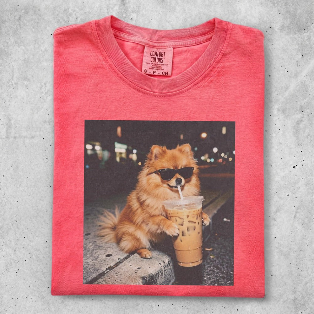 Pomeranian dog wearing sunglasses drinks iced coffee.
