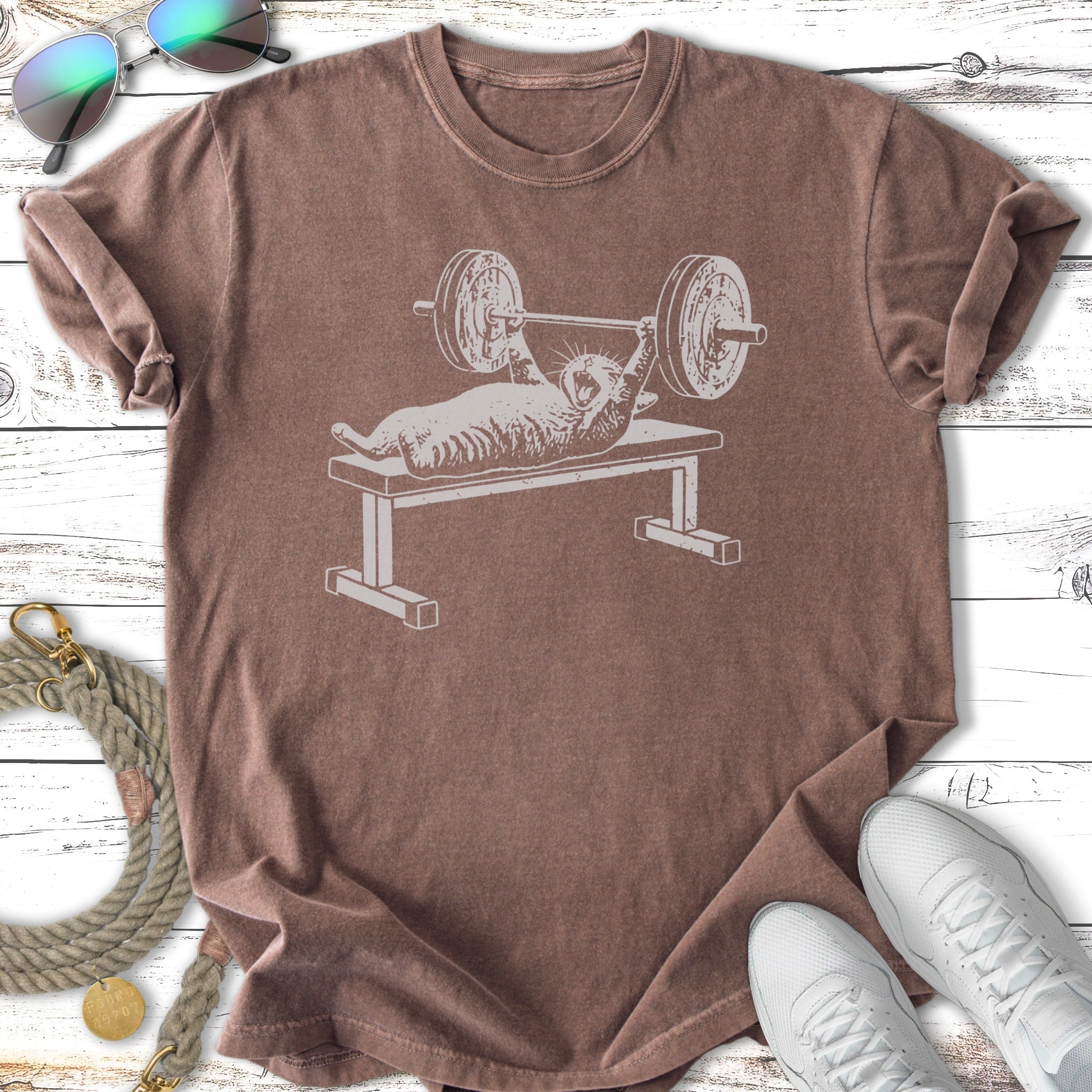 Cat lifting weights on a bench press with barbells.