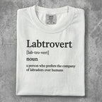 White t-shirt with "Labtrovert" definition.