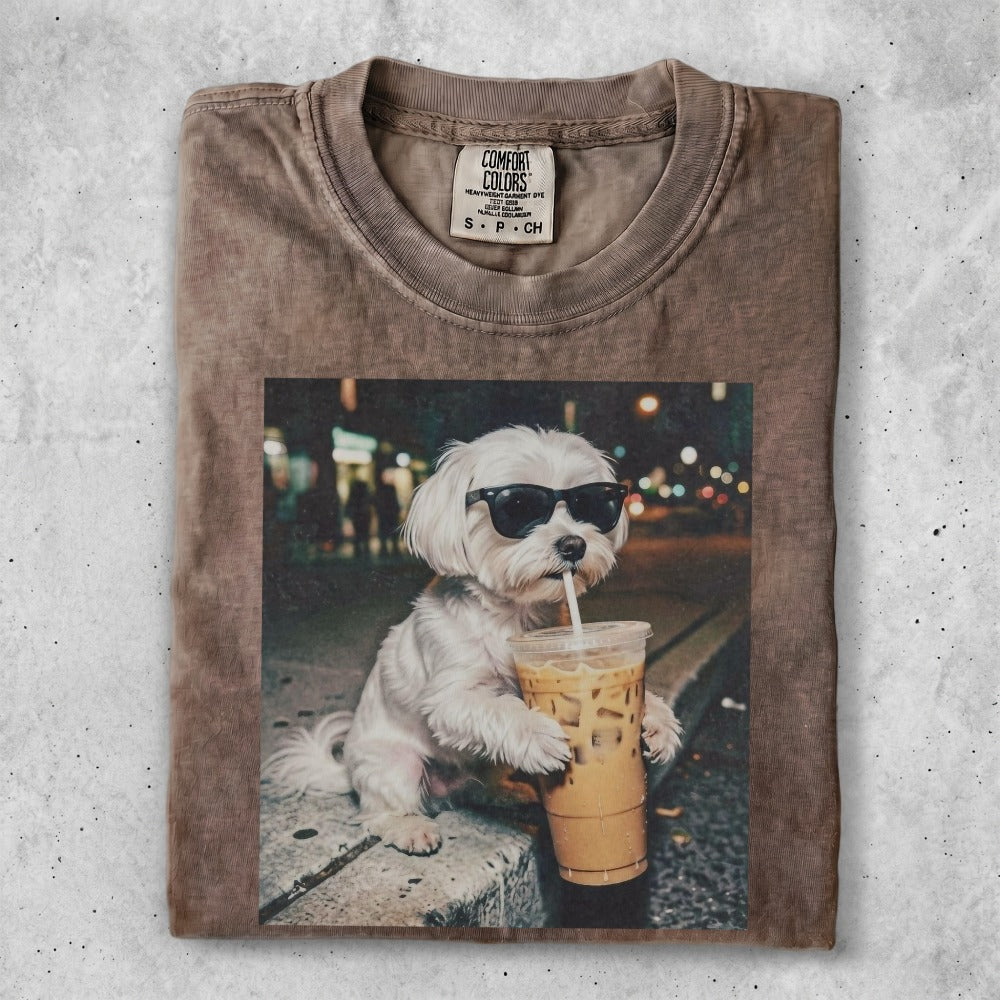 White dog wearing sunglasses drinks iced coffee on a sidewalk.