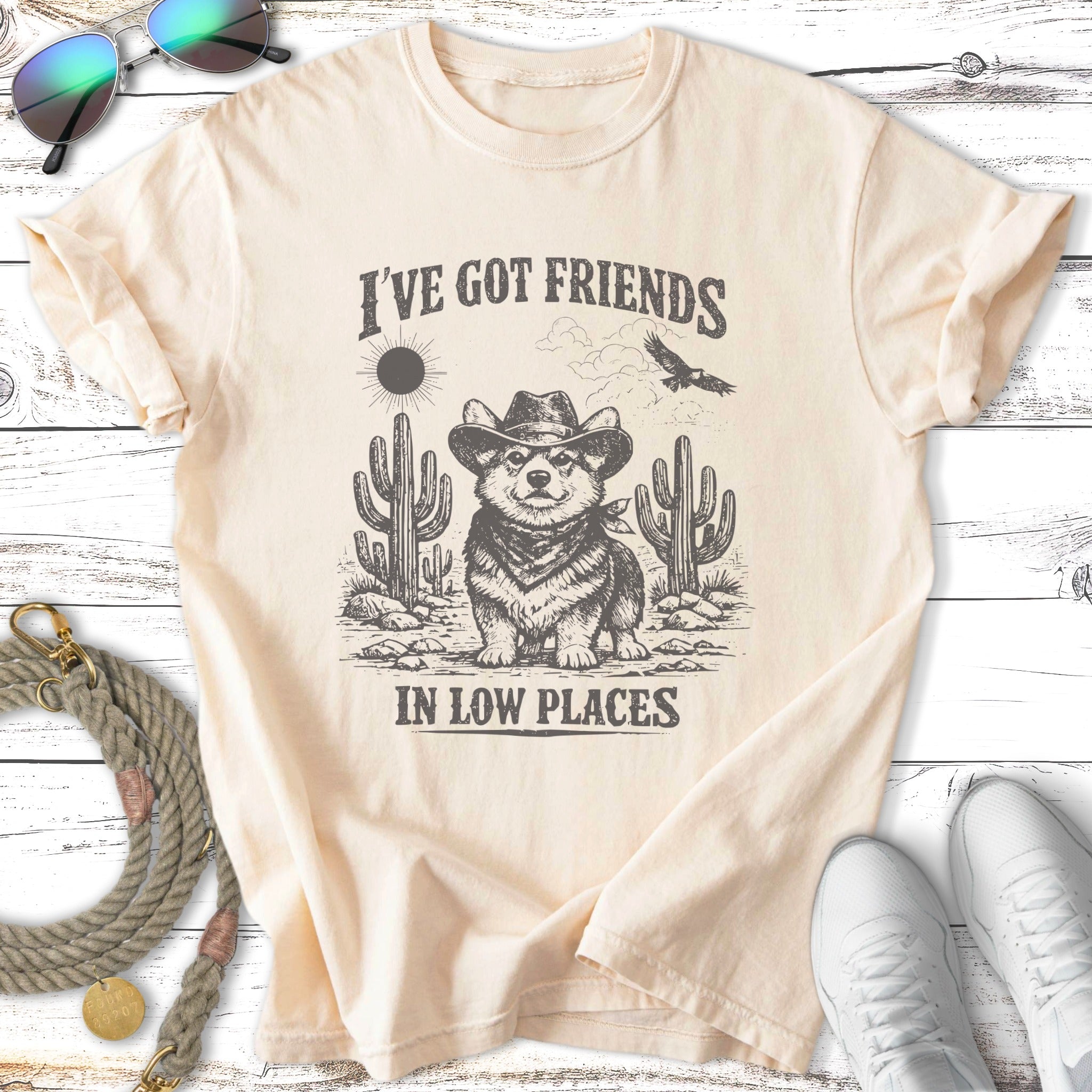 Corgi wearing cowboy hat and sunglasses in desert with text "I've Got Friends In Low Places".