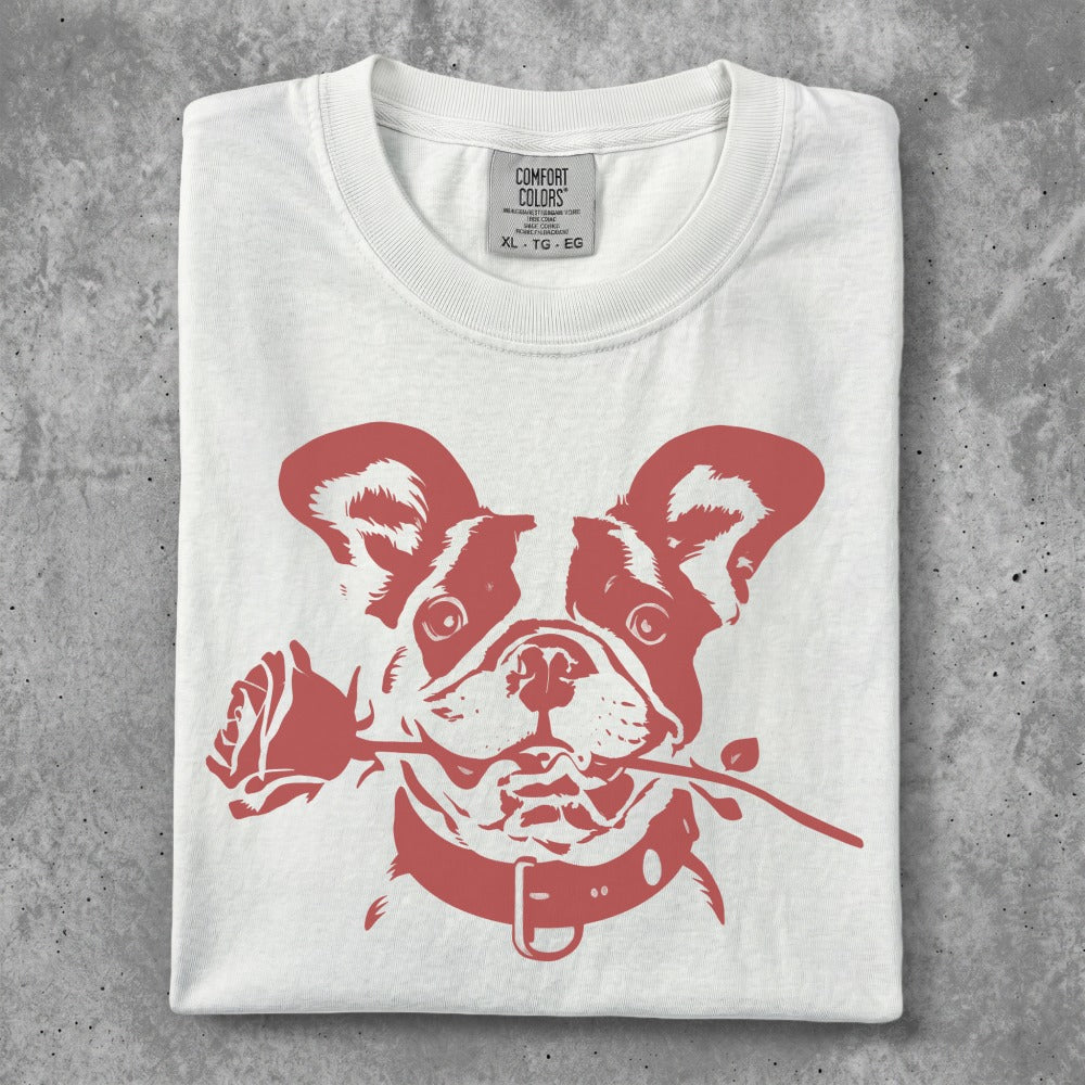 White t-shirt with a red French bulldog holding a red rose in its mouth.