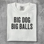 White t-shirt with black text "BIG DOG BIG BALLS".