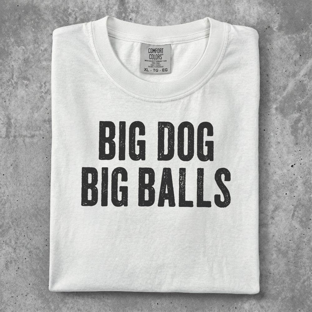 White t-shirt with black text "BIG DOG BIG BALLS".