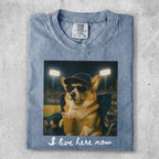 Corgi in sunglasses and baseball cap drinks coffee, text reads "I live here now".