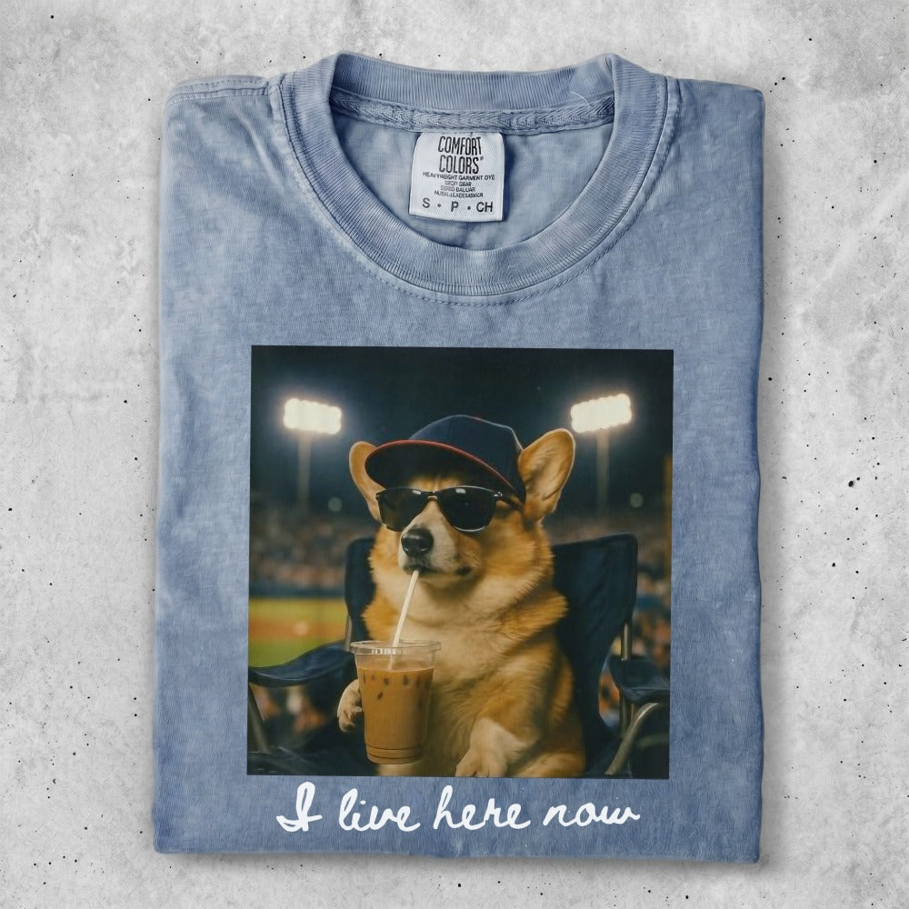 Corgi in sunglasses and baseball cap drinks coffee, text reads "I live here now".
