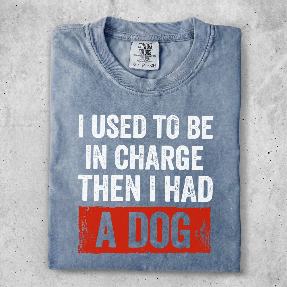 Comfort Colors shirt with "I USED TO BE IN CHARGE THEN I HAD A DOG" slogan.