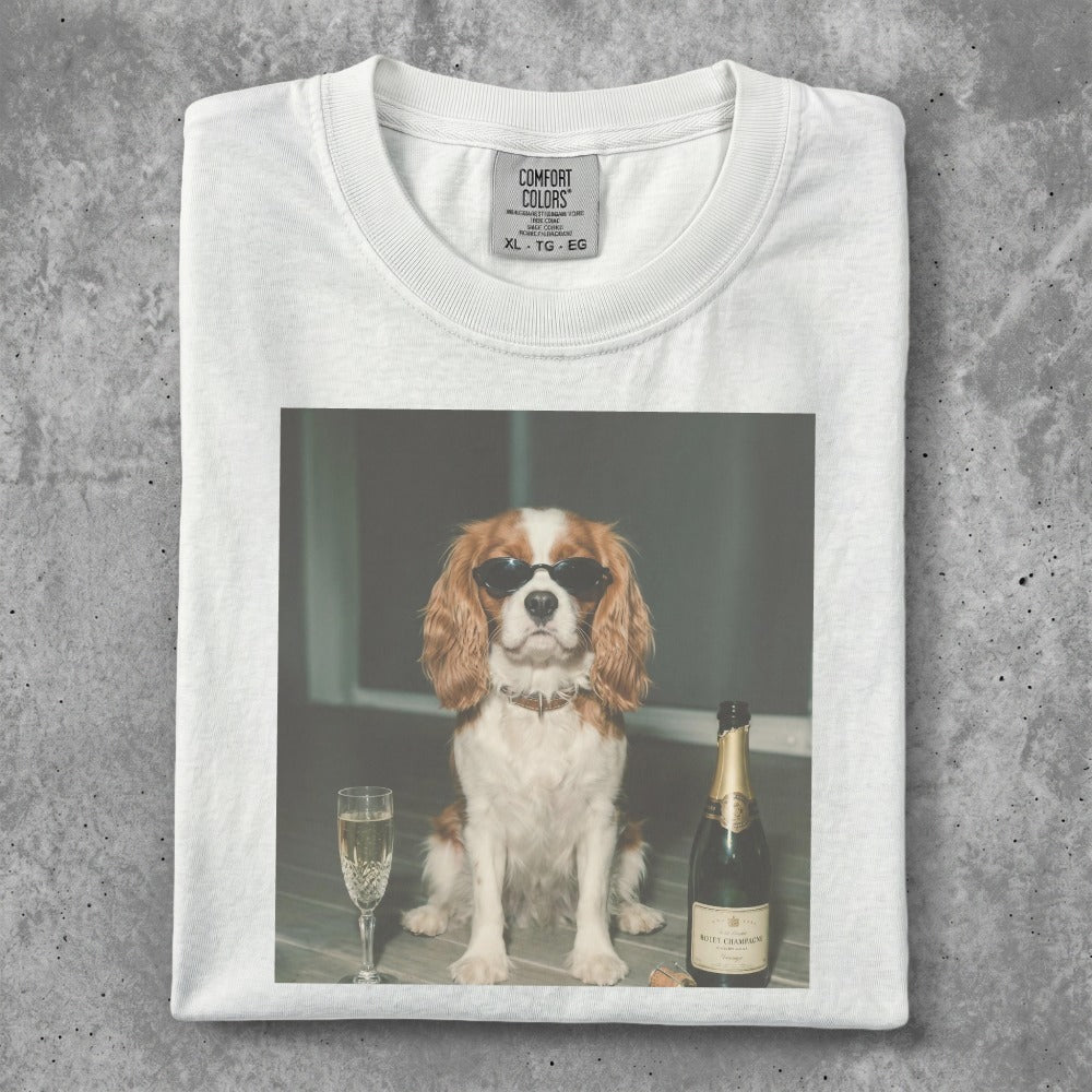 Cavalier King Charles Spaniel wearing sunglasses next to champagne bottle and flute.