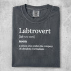 Labtrovert noun definition on a dark grey t-shirt.