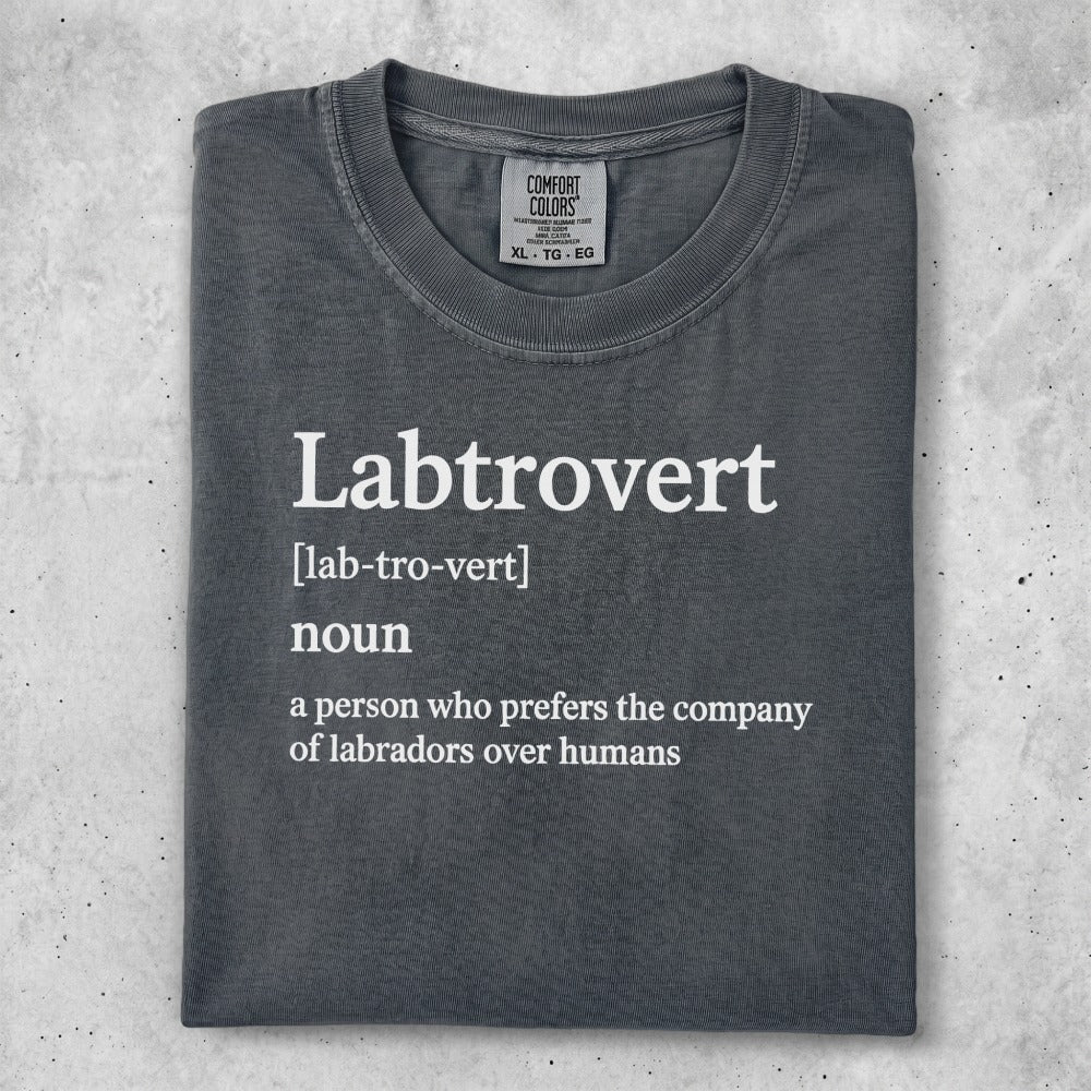 Labtrovert noun definition on a dark grey t-shirt.