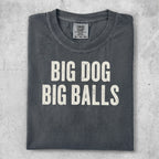 Dark t-shirt with bold white text reading "BIG DOG BIG BALLS".