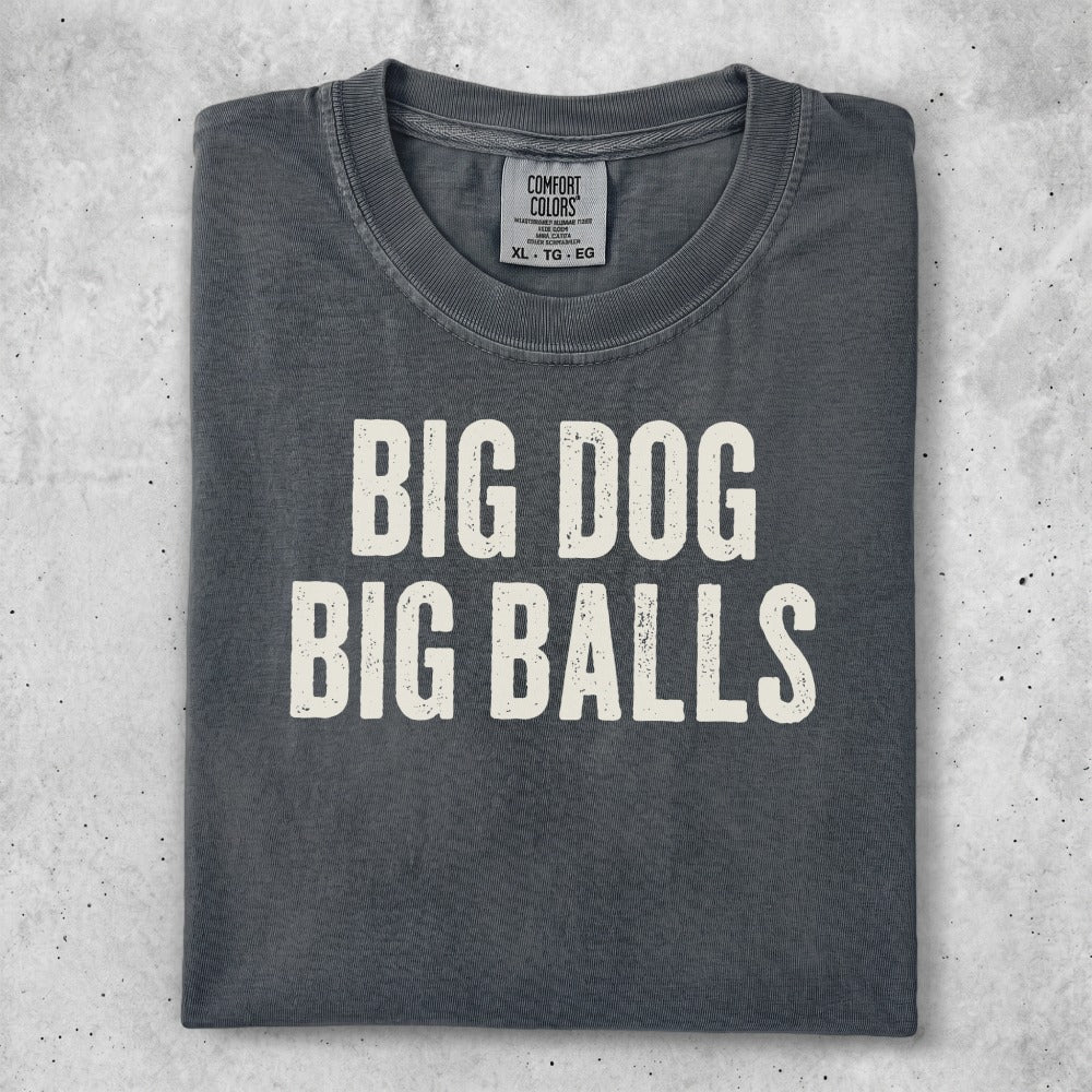 Dark t-shirt with bold white text reading "BIG DOG BIG BALLS".