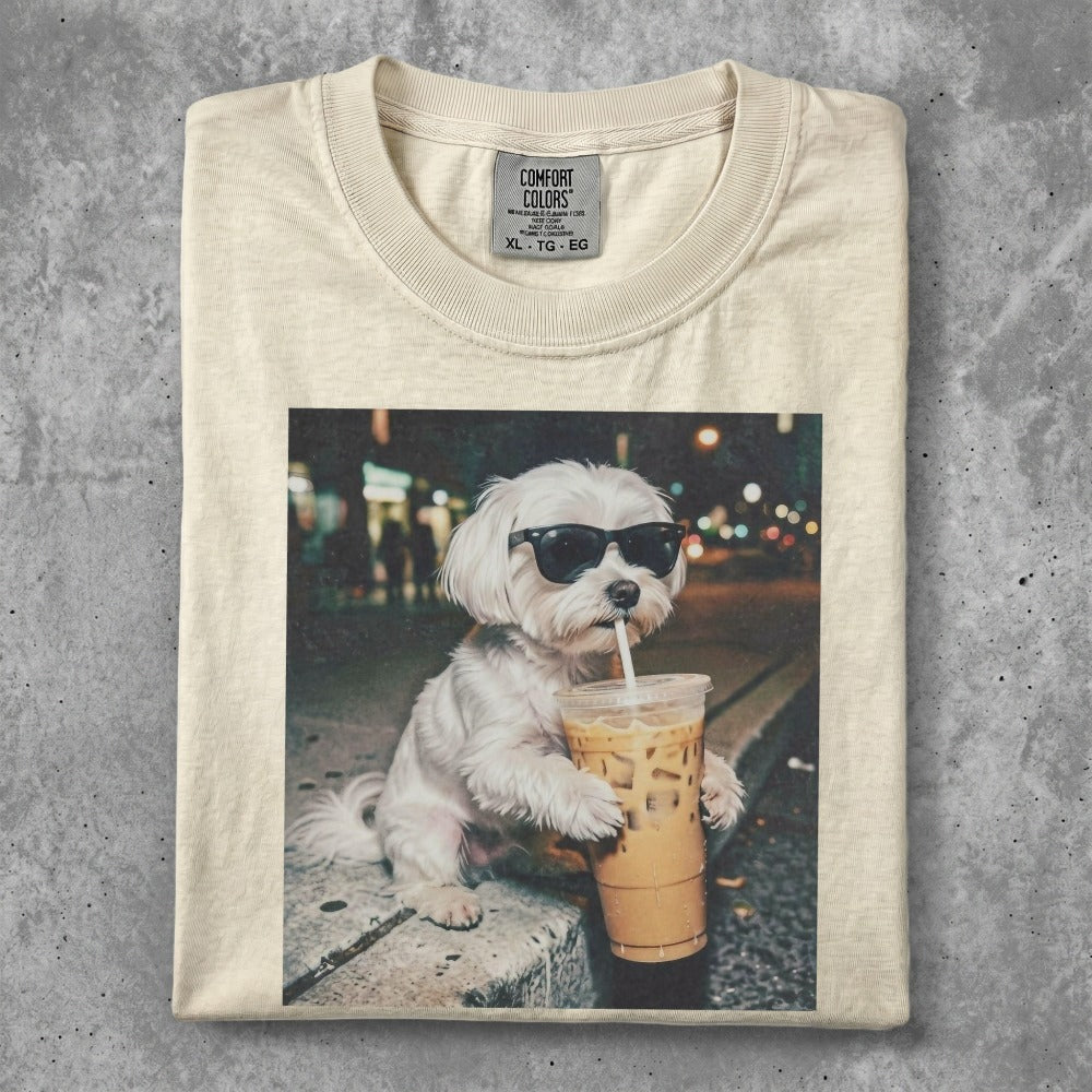 Maltese dog wearing sunglasses drinks iced coffee.
