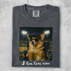Corgi in sunglasses drinks iced coffee with "I live here now" text.