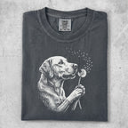 Labrador retriever with dandelion seeds blowing from a dandelion.