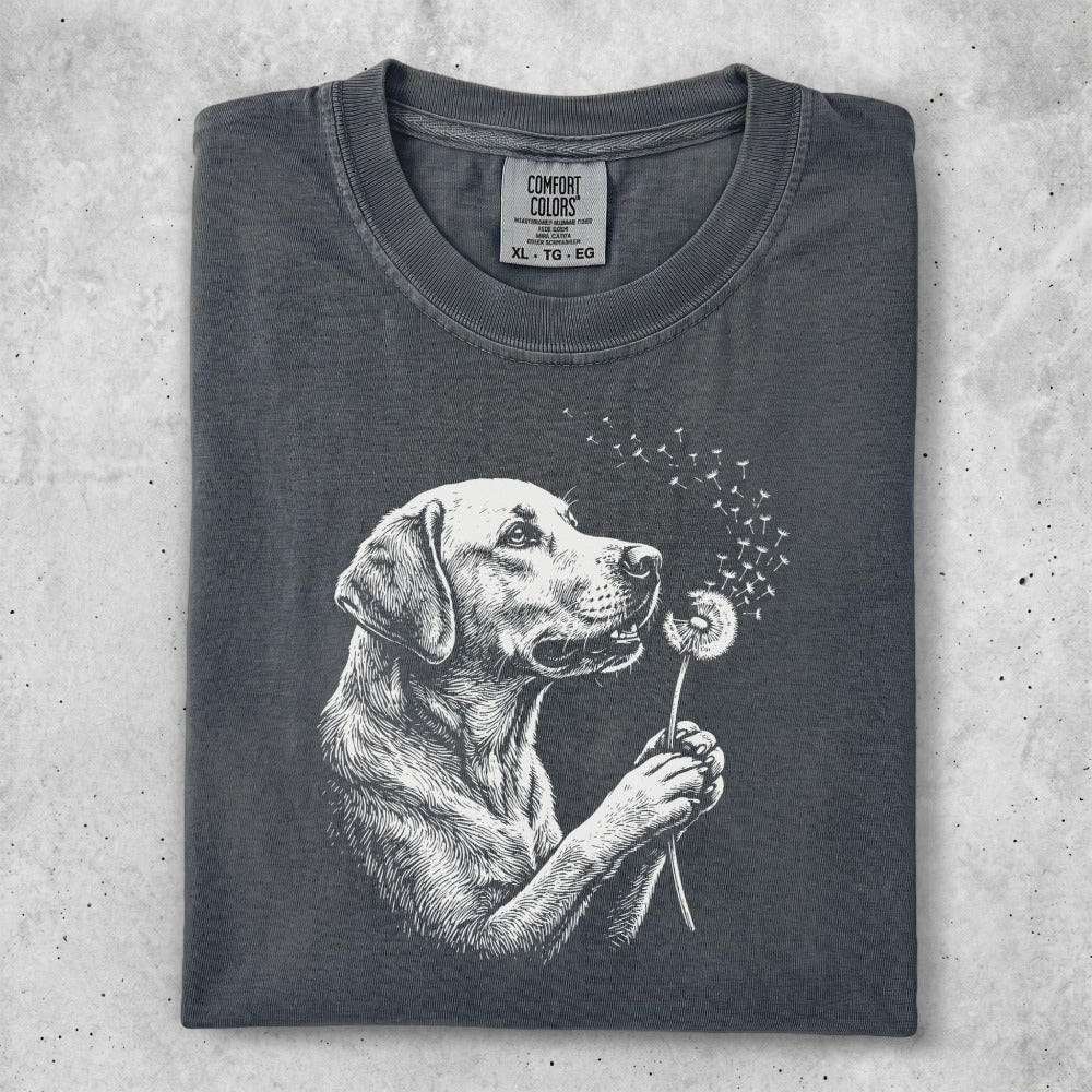 Labrador retriever with dandelion seeds blowing from a dandelion.