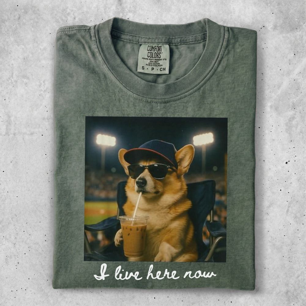 Corgi wearing sunglasses and a baseball cap, holding a drink.