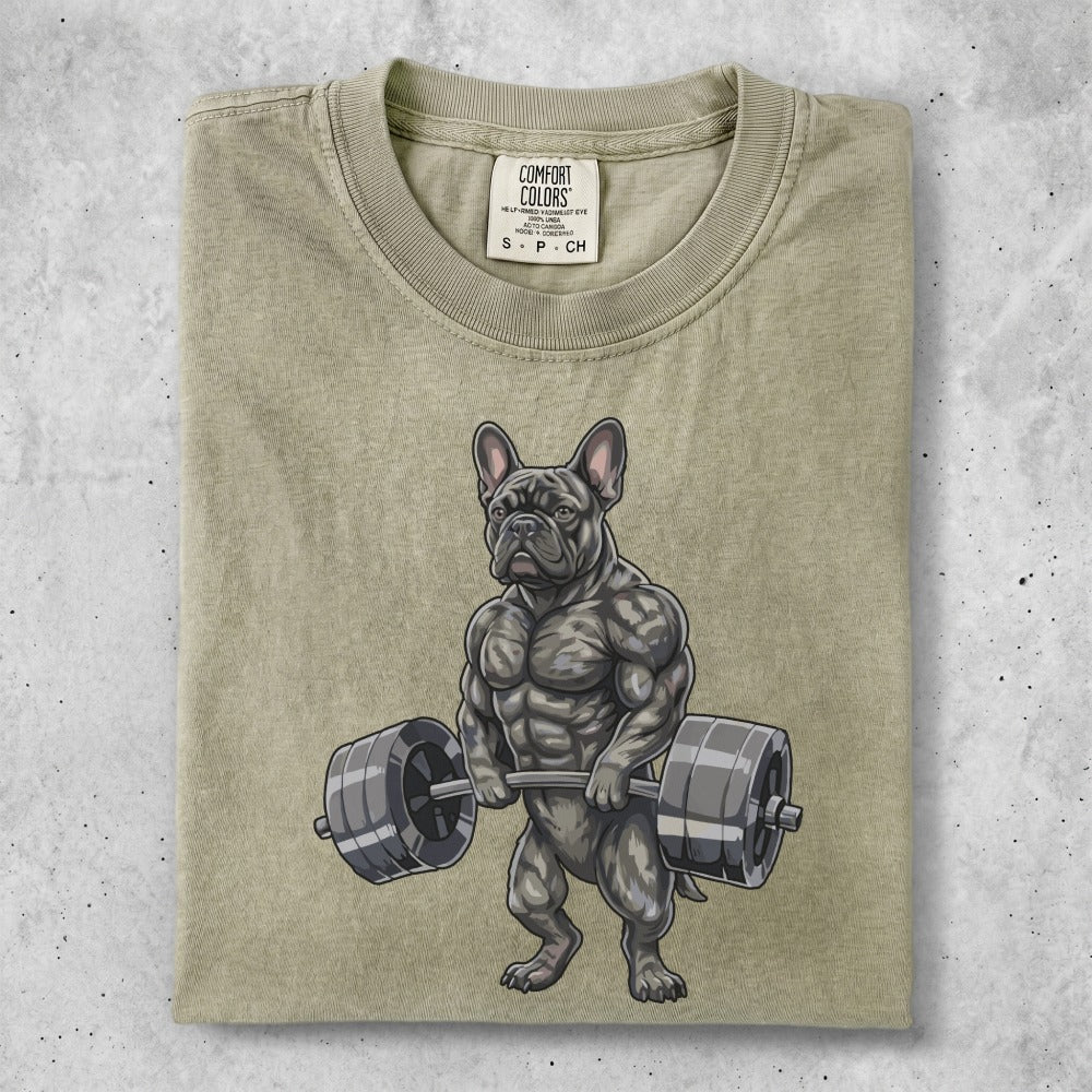 Muscular French bulldog holding a barbell.