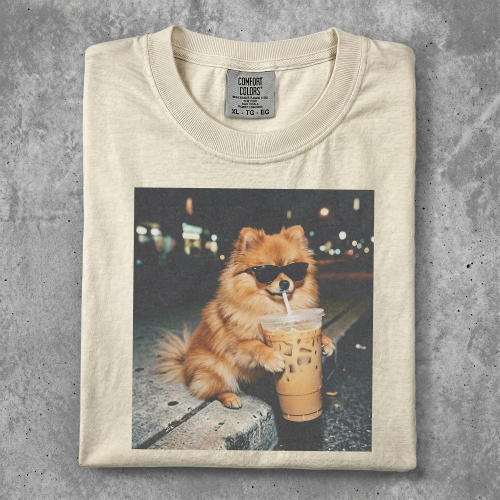 Pomeranian wearing sunglasses drinks iced coffee.