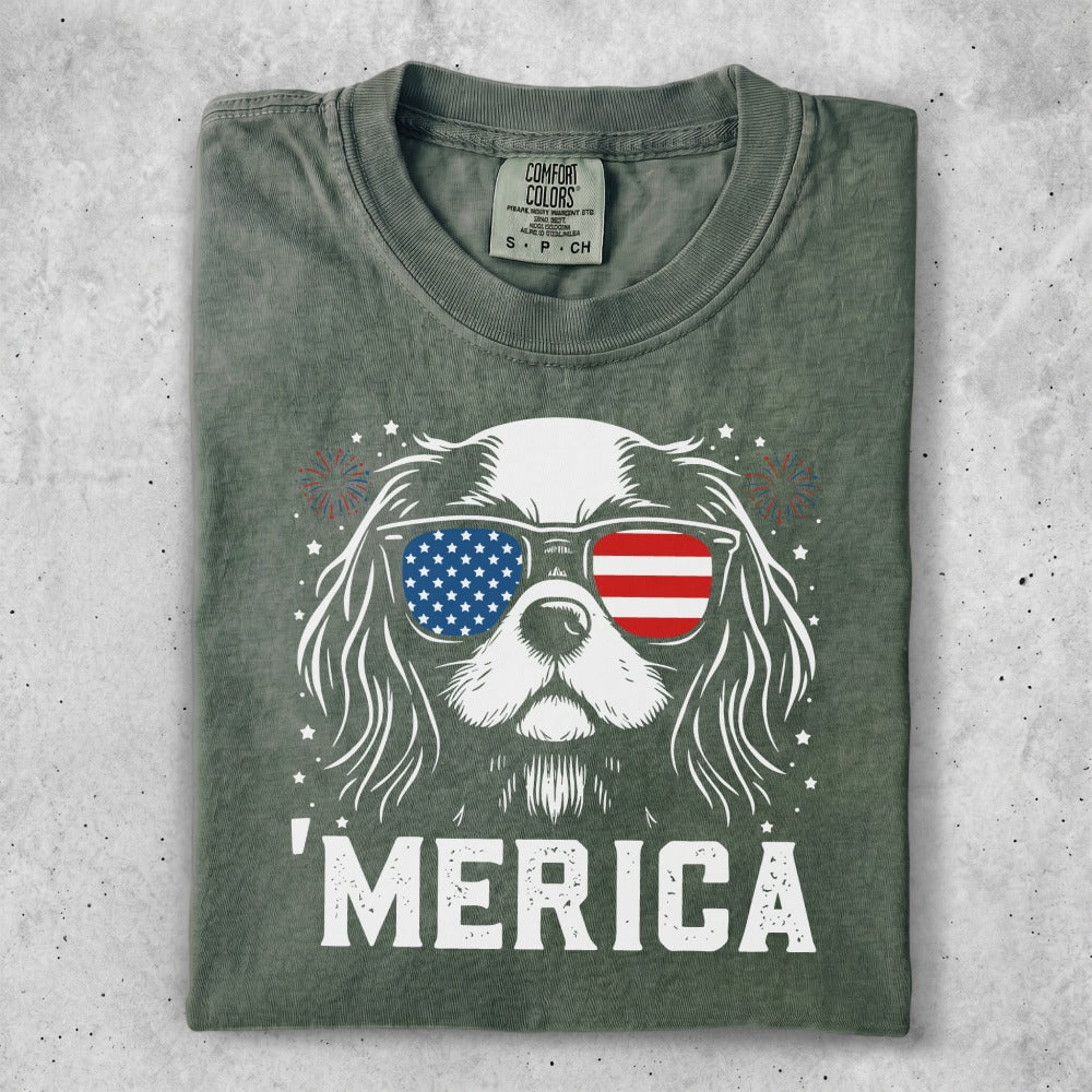 Dog wearing American flag sunglasses with fireworks, "MERICA" text.