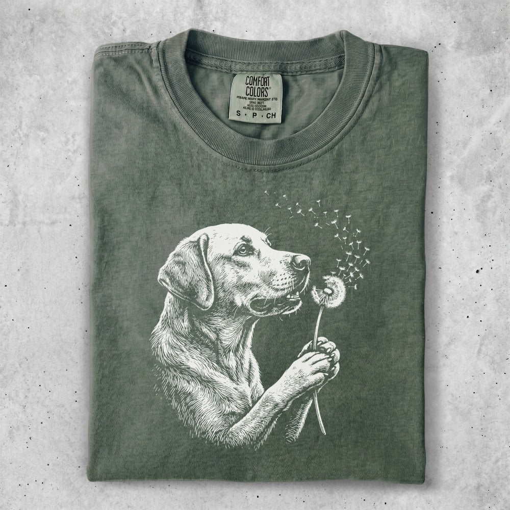 Labrador retriever blowing dandelion seeds, Comfort Colors brand t-shirt.