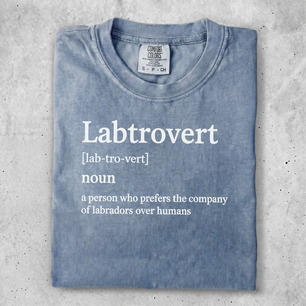 Labtrovert noun definition on a Comfort Colors t-shirt.