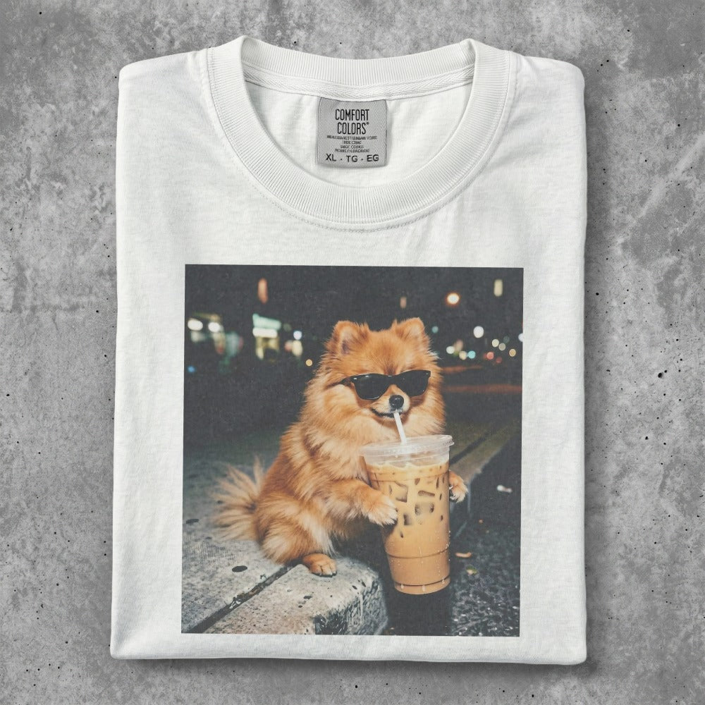 Pomeranian dog wearing sunglasses drinks iced coffee on a city street.