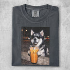 Husky wearing sunglasses holds a coffee drink with a straw.