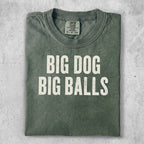 Green t-shirt with bold white text "BIG DOG BIG BALLS".
