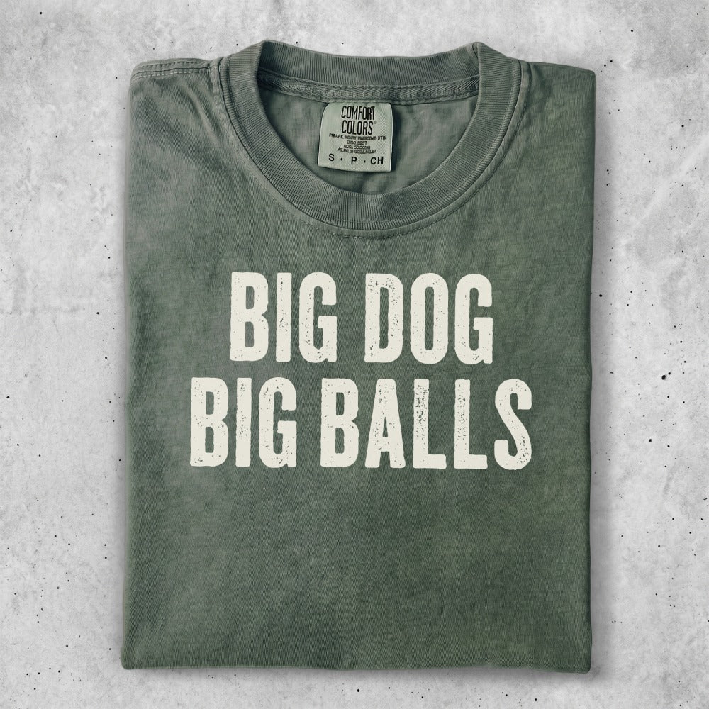 Green t-shirt with bold white text "BIG DOG BIG BALLS".