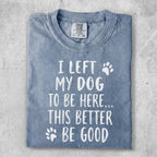 Blue Comfort Colors t-shirt with white text "I left my dog to be here... this better be good."