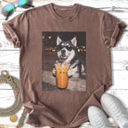 Husky wearing sunglasses drinks an iced coffee.