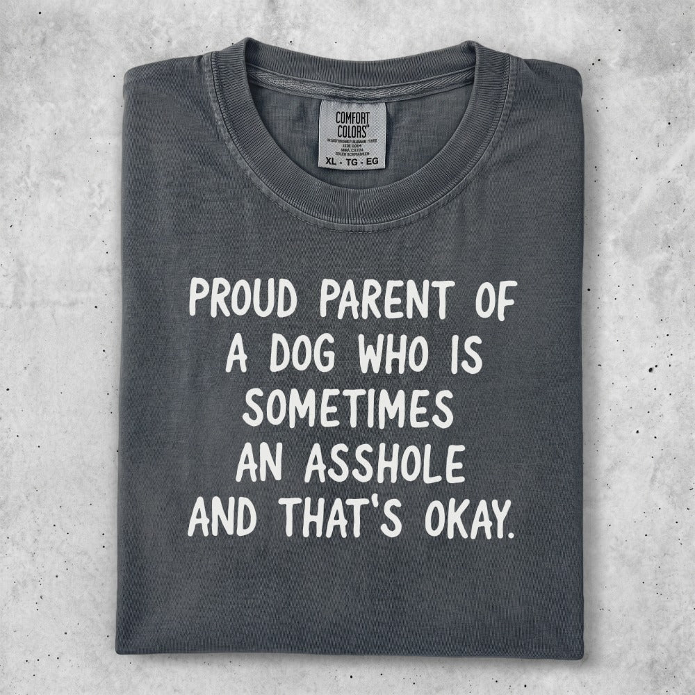 Dark grey t-shirt with "PROUD PARENT OF A DOG WHO IS SOMETIMES AN ASSHOLE AND THAT'S OKAY." text.