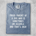 Blue Comfort Colors t-shirt with text: "Proud parent of a dog who is sometimes an asshole and that's okay."