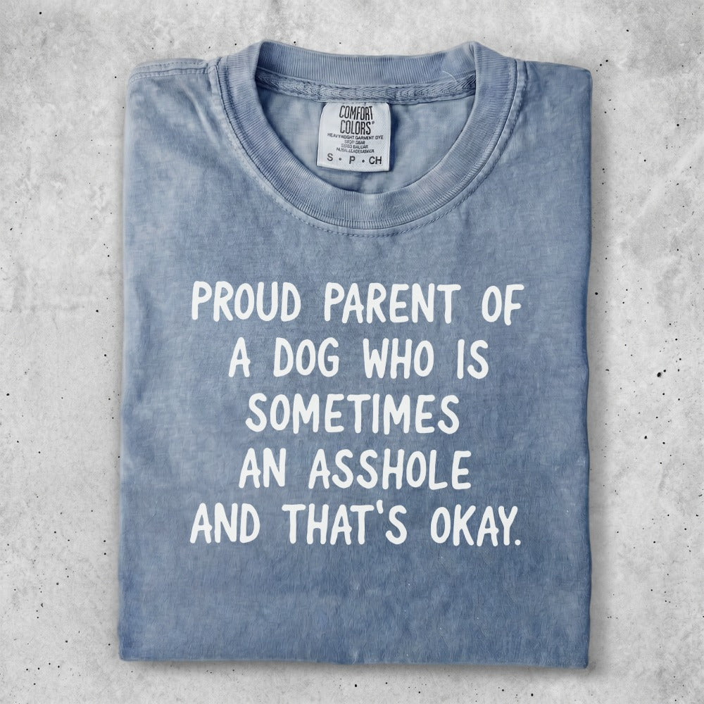Blue Comfort Colors t-shirt with text: "Proud parent of a dog who is sometimes an asshole and that's okay."