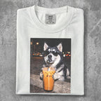 Husky wearing sunglasses drinks an iced coffee.