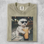 Small white dog wearing sunglasses drinks iced coffee from a straw.