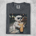 Maltese dog wearing sunglasses drinks iced coffee.