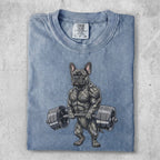 French bulldog lifting weights, gray, t-shirt design.