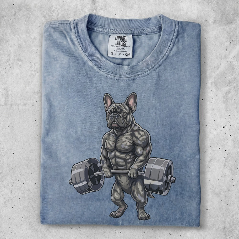 French bulldog lifting weights, gray, t-shirt design.