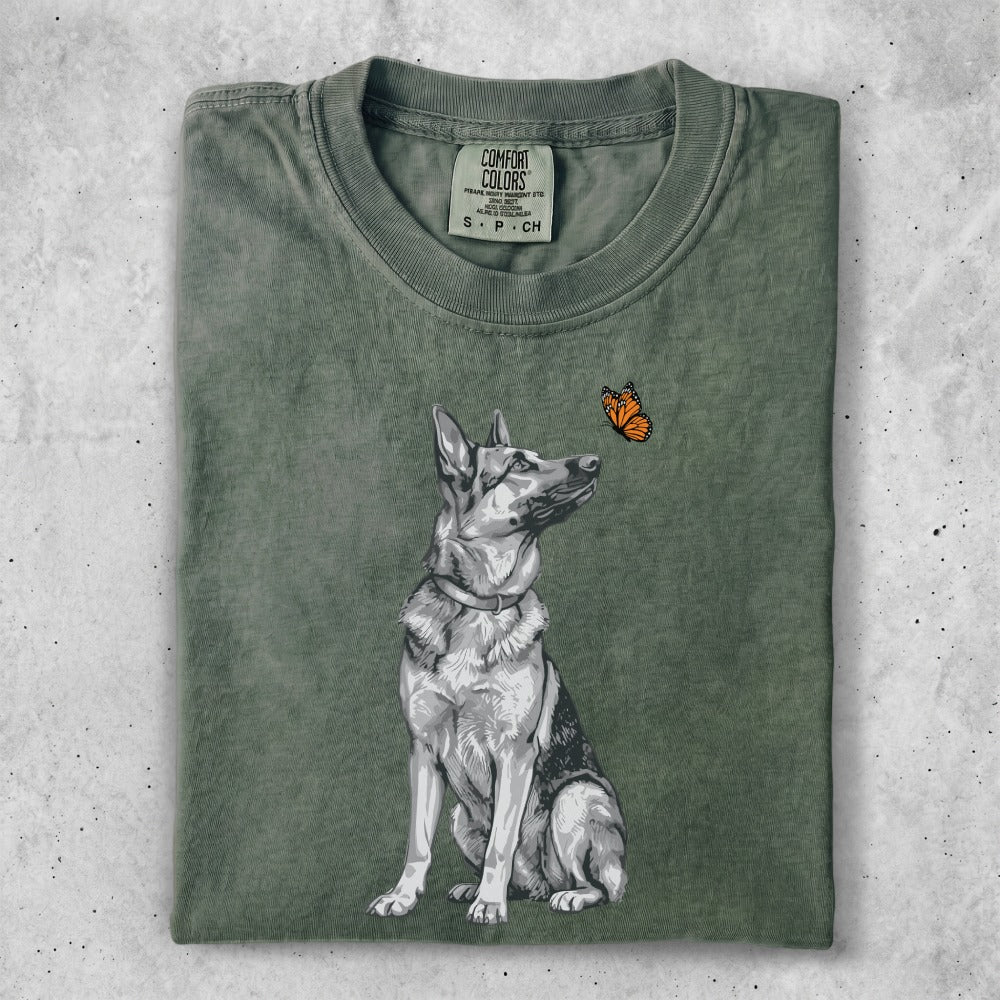 German Shepherd sitting and looking up at a small orange butterfly.